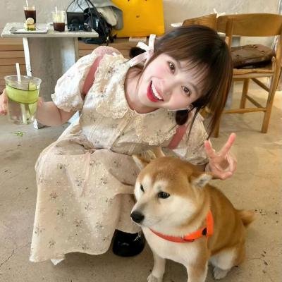 地狱猫